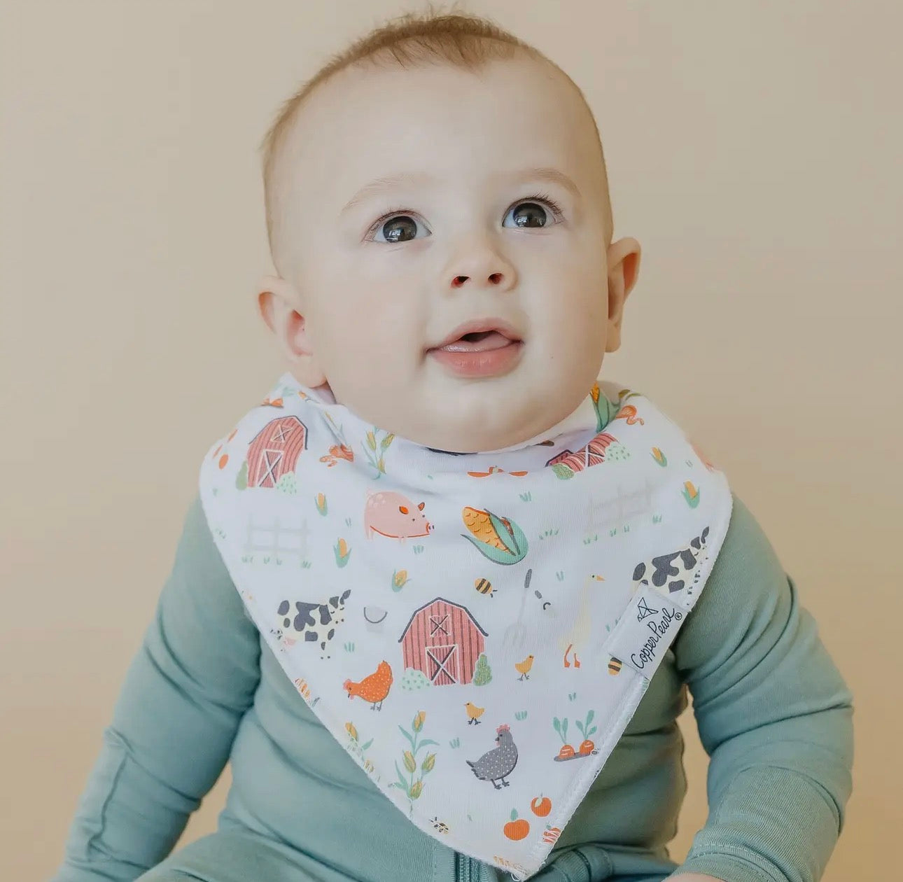 Farmstead- 4 Pack Baby Bandana Bibs