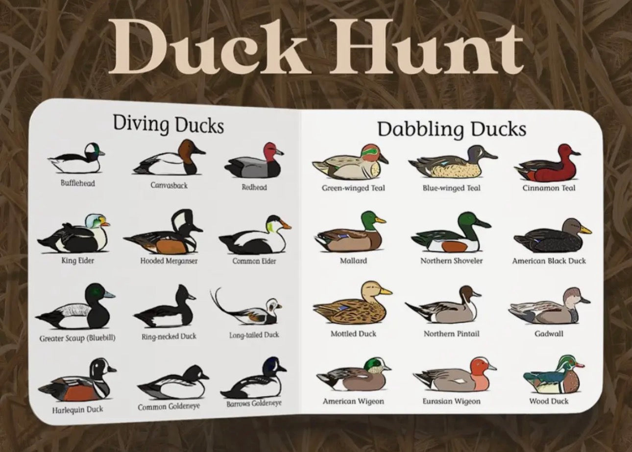 Duck Hunt