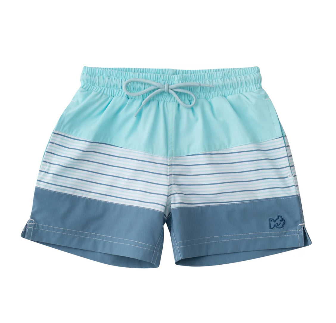 Boys Boogie Board Swim Trunk in Waterspout Green and Multicolor Stripe Colorblock