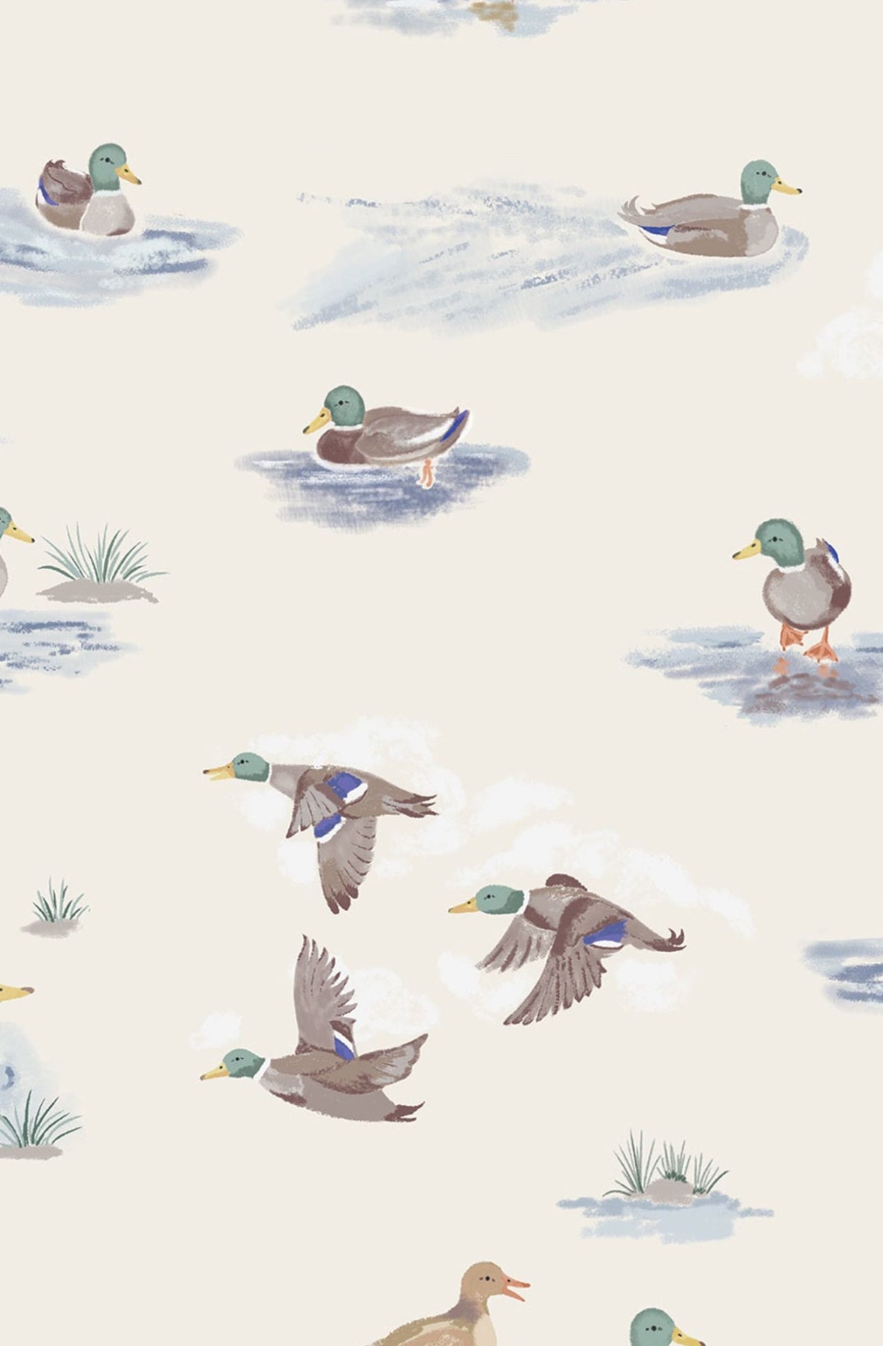 Migrating Mallards- 2 Way Zipper Romper