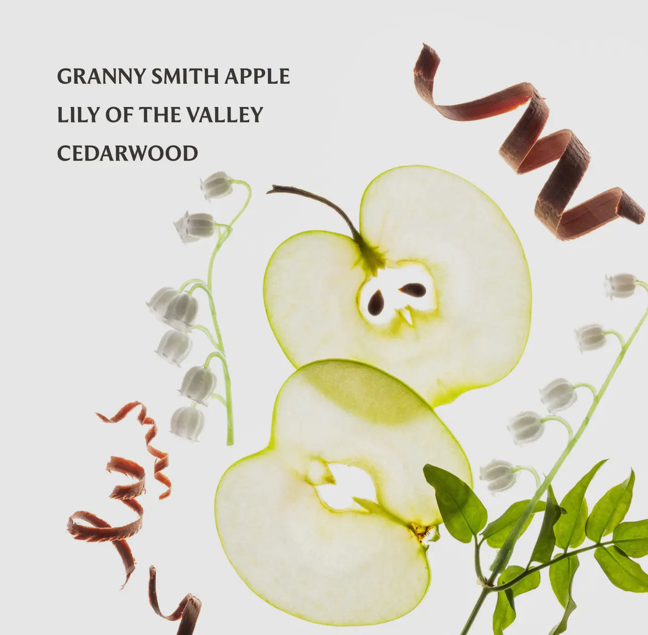 Applelicious Power Mist Hydrating Hand Sanitizer