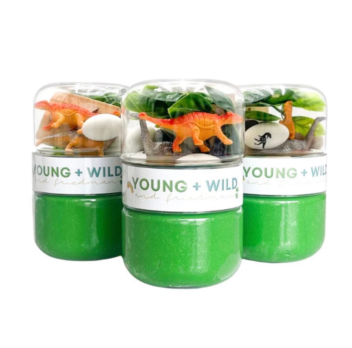 Dinosaur- Grab & Go Dough Jar