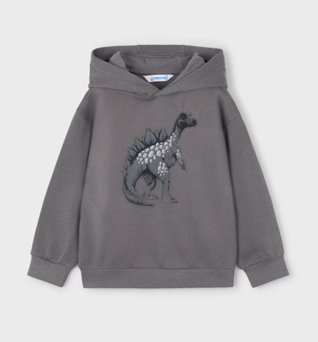 Boy Printed Sweatshirt