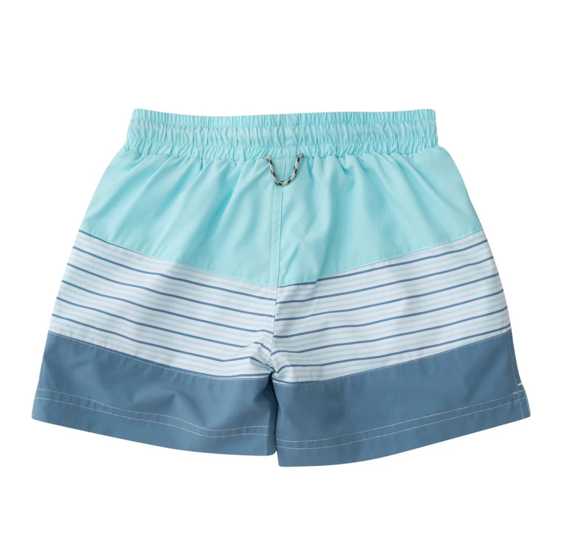 Boys Boogie Board Swim Trunk in Waterspout Green and Multicolor Stripe Colorblock