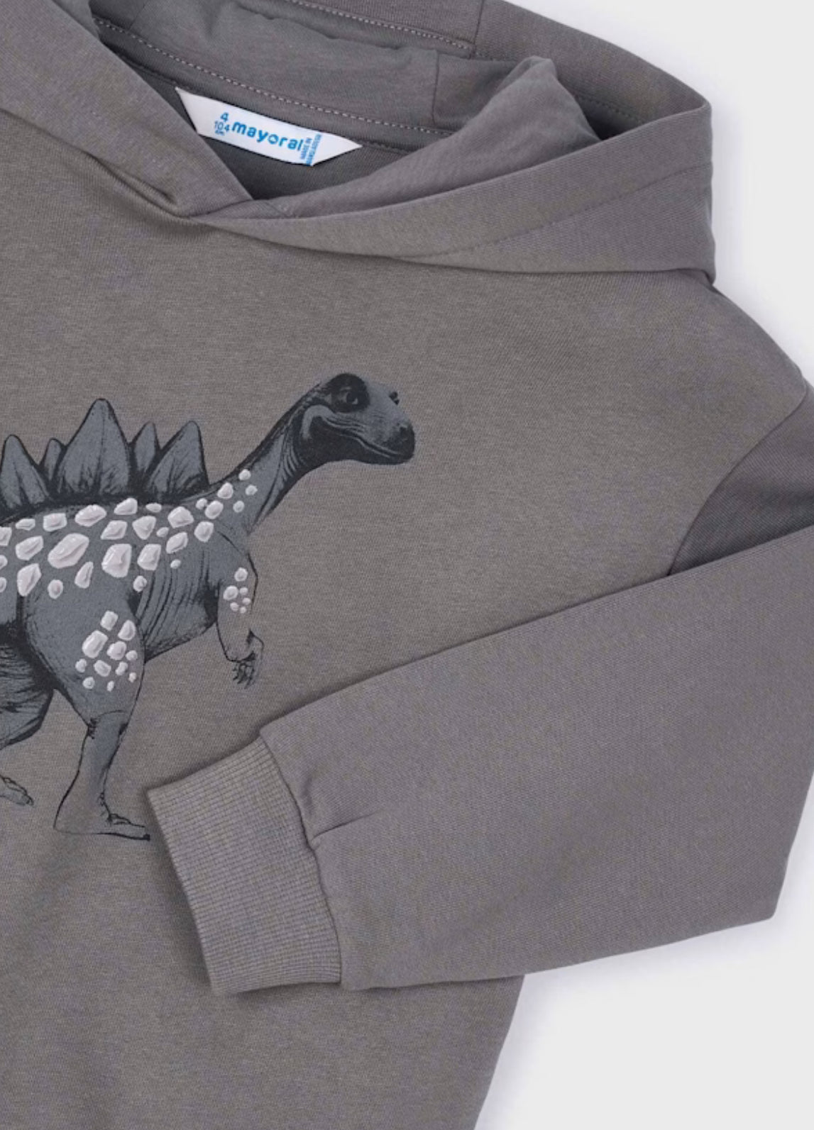 Boy Printed Sweatshirt