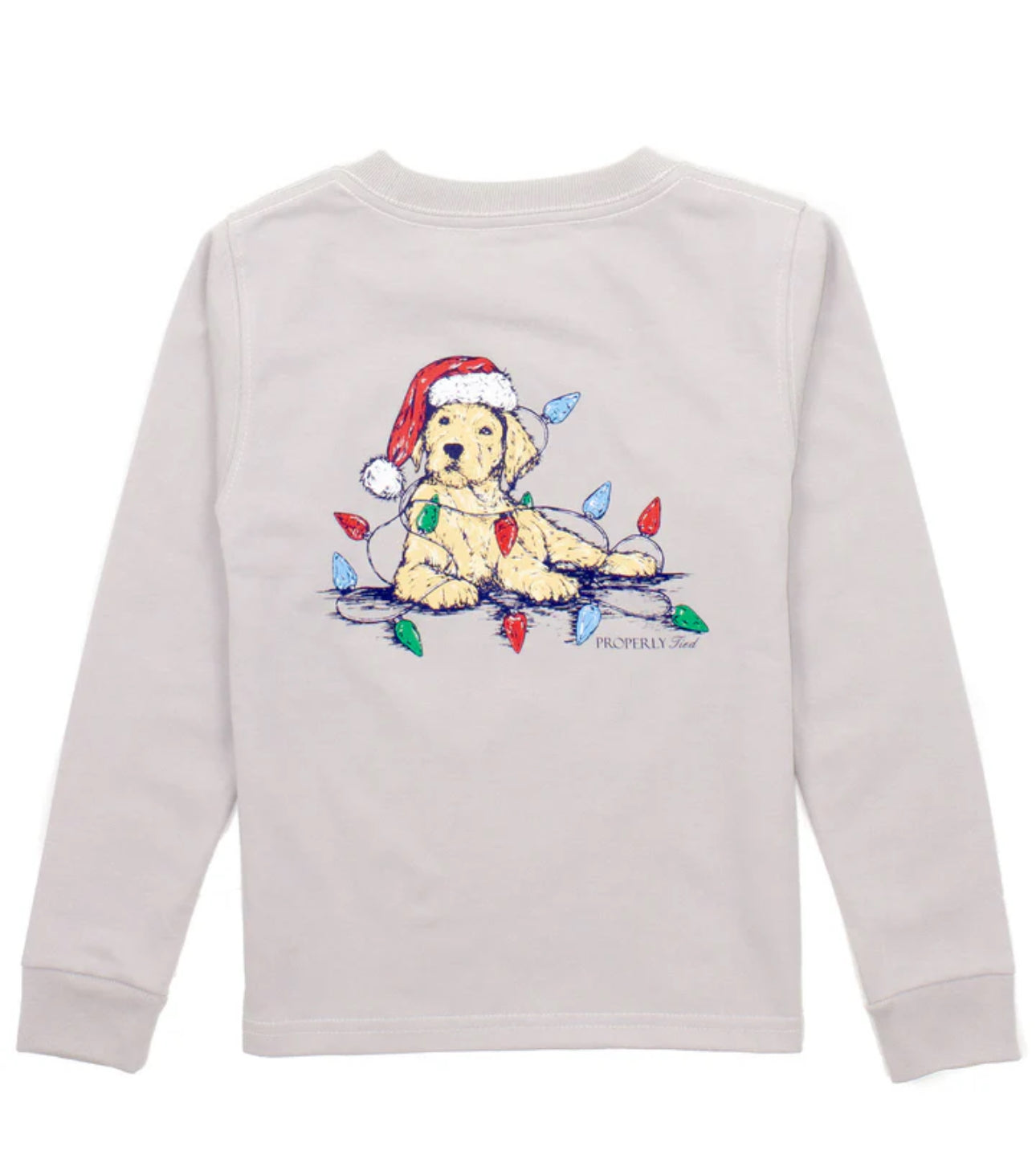 Boys Santa Paws LS Ice Grey