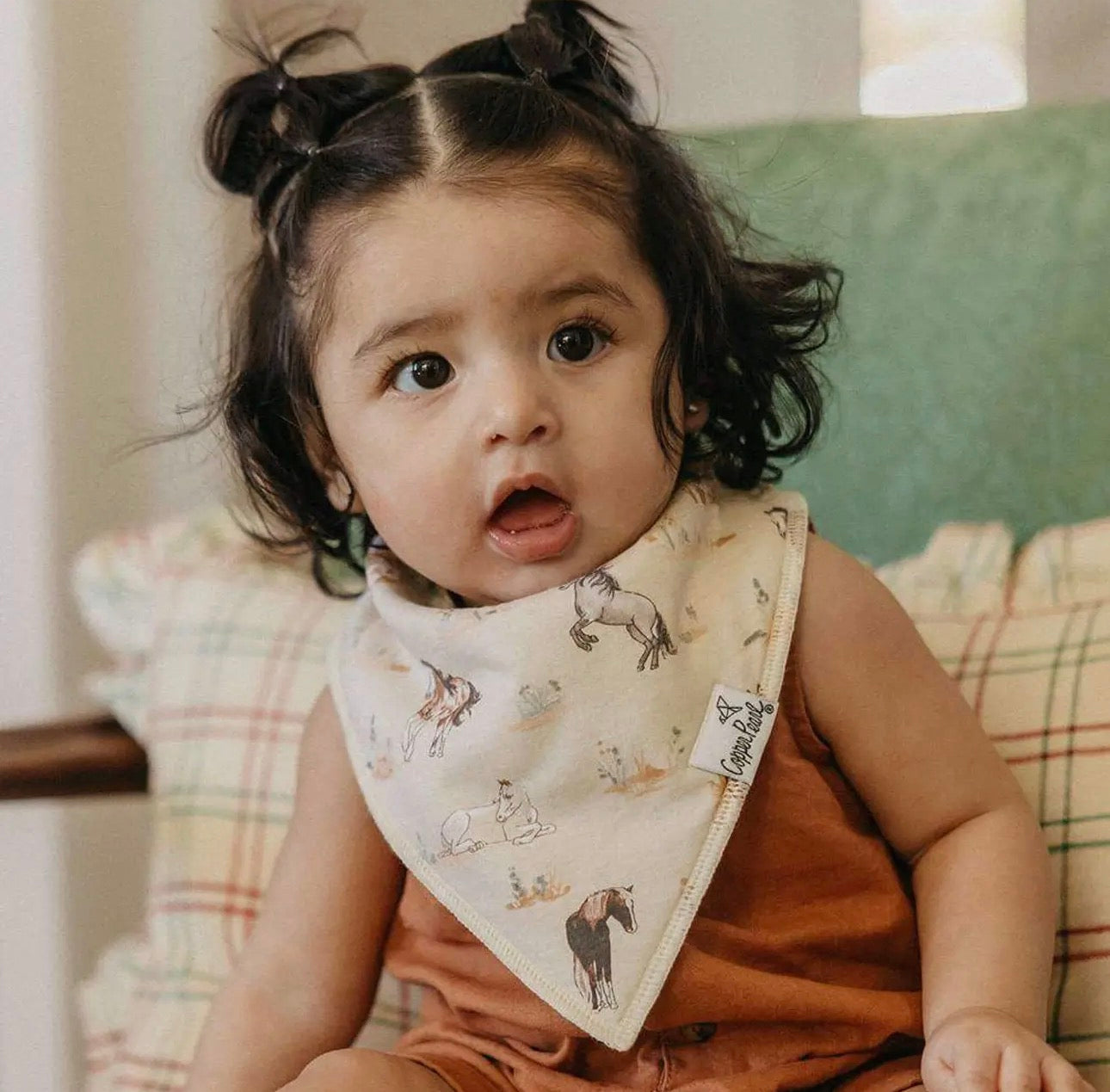 Cheyenne- 4 Pack Baby Bandana Bibs