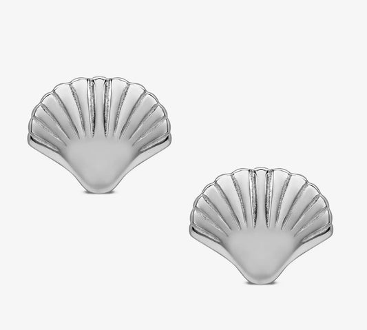 Sea Shell Stud Earrings in Sterling Silver