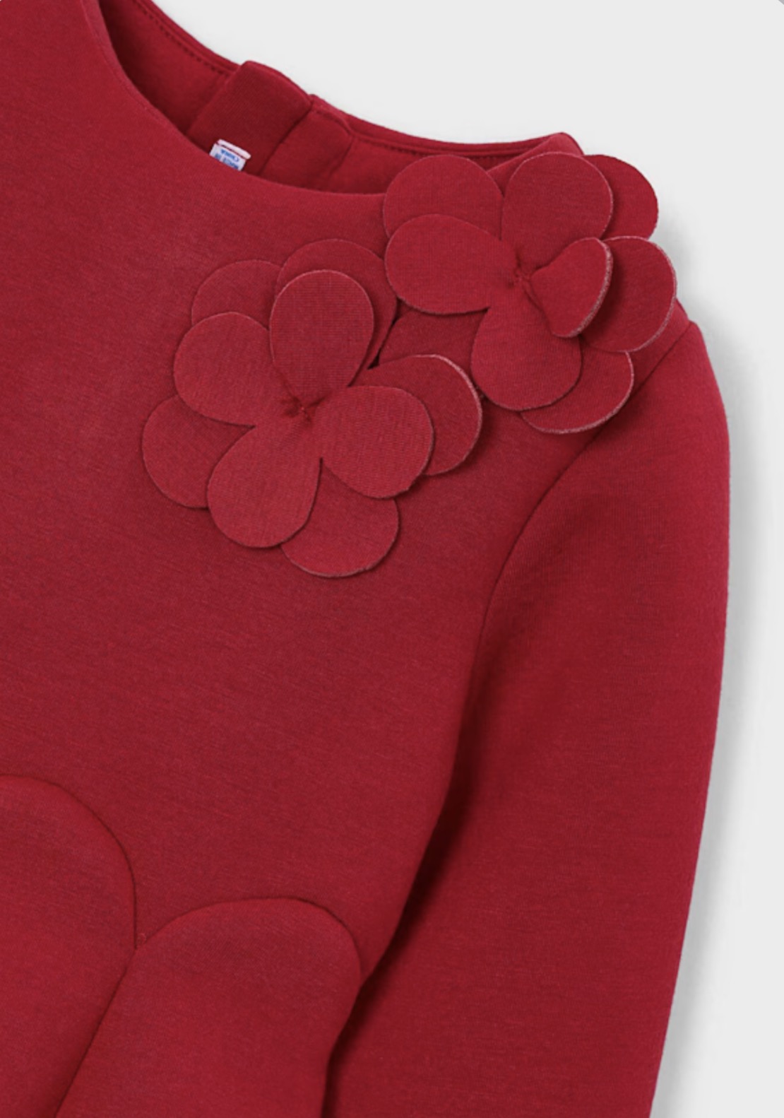 Framboise-Girl Floral Dress