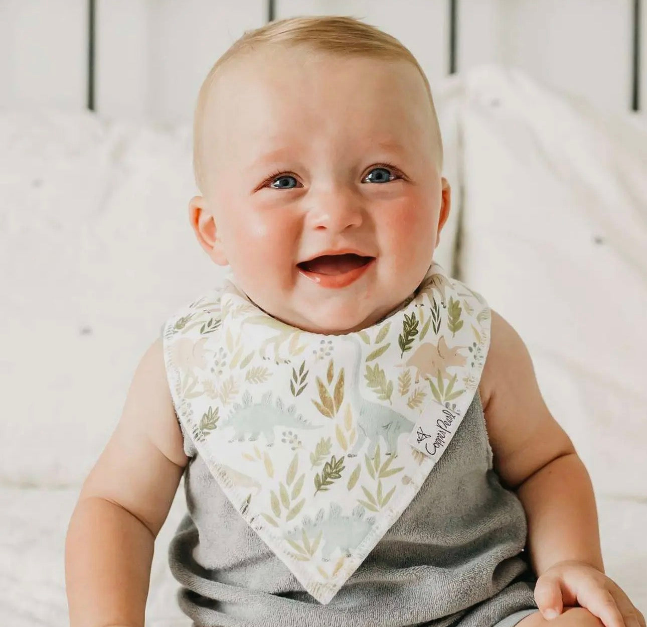 Rex- 4 Pack Baby Bandana Bibs