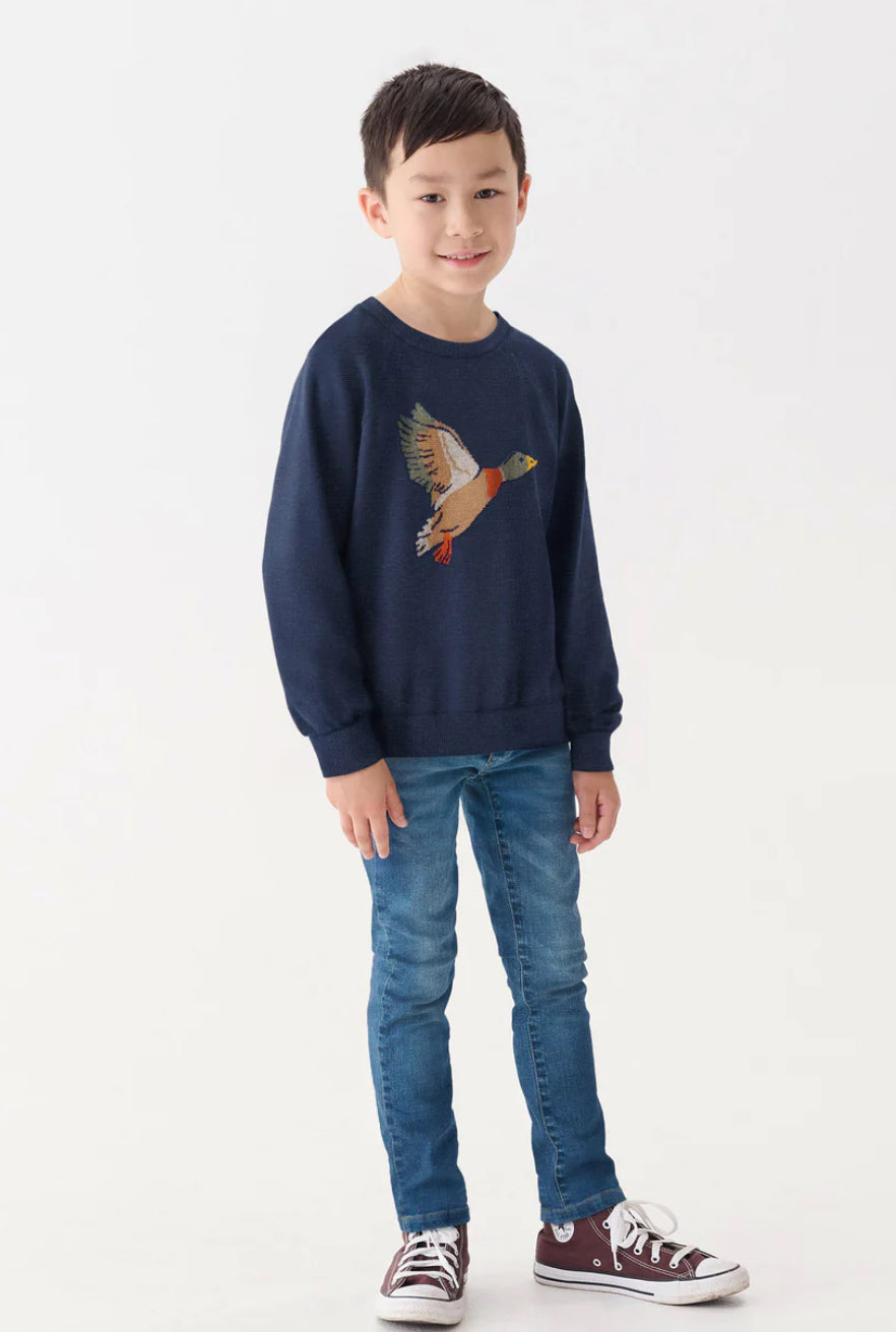 Boys Duck Crew Neck Sweater