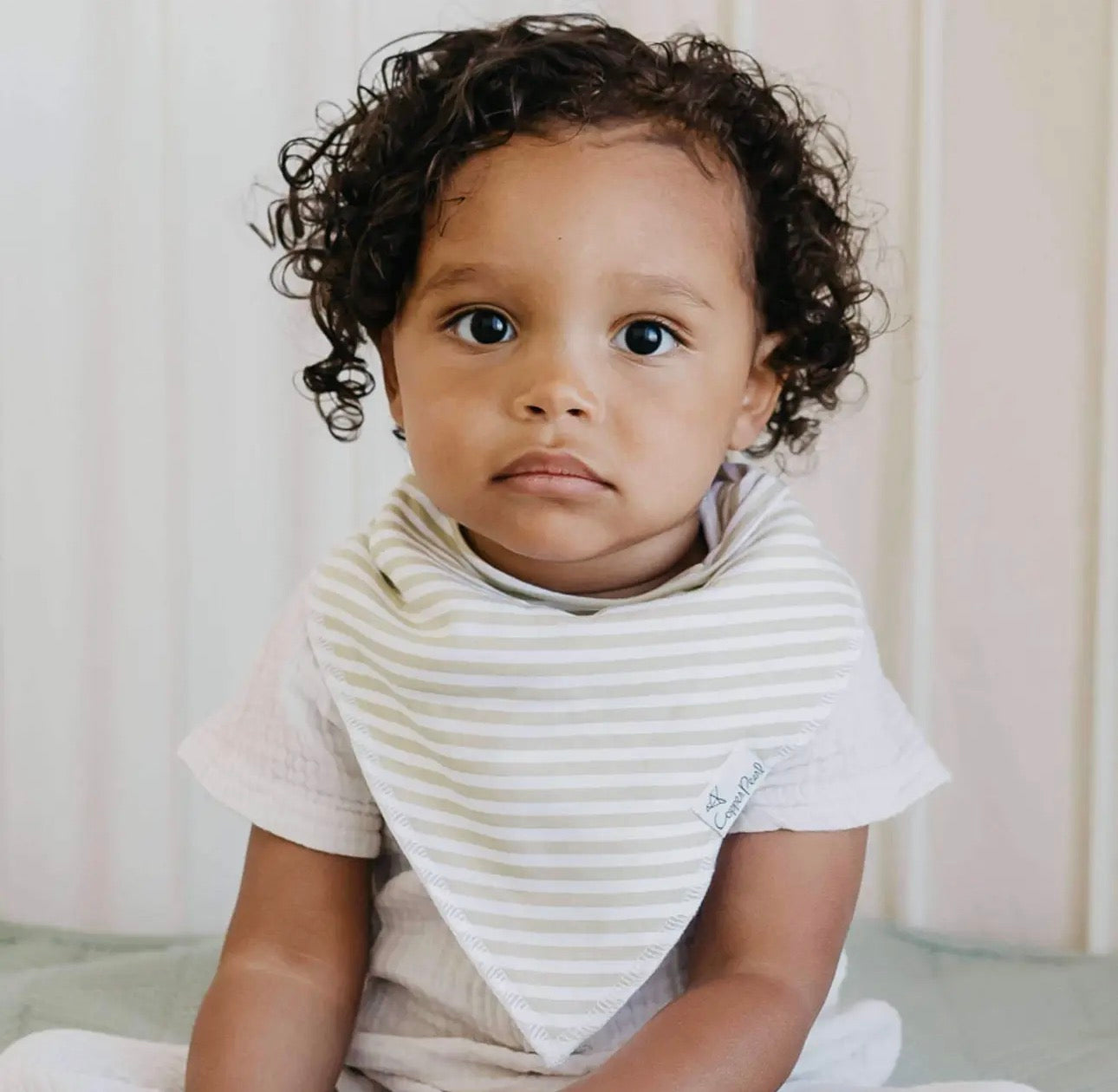 Rex- 4 Pack Baby Bandana Bibs