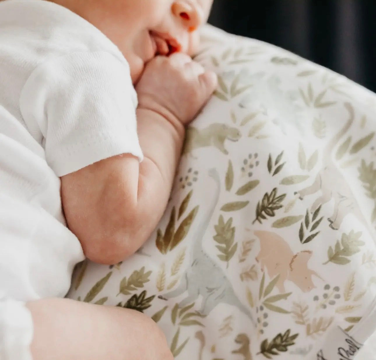 Rex- 3 Pack Premium Burp Cloths