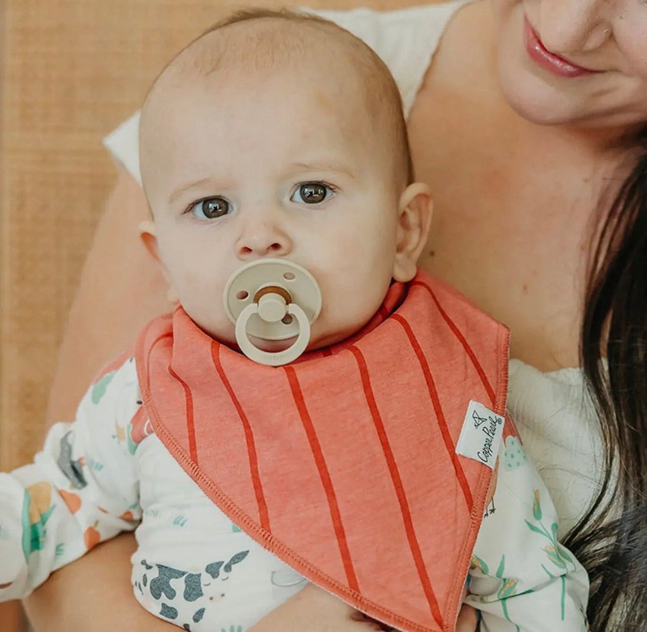 Farmstead- 4 Pack Baby Bandana Bibs