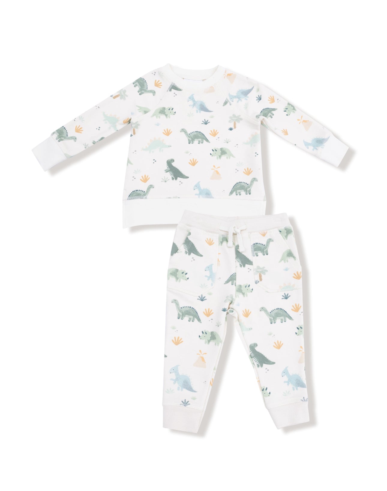 Soft Dinos French Terry Green Raglan Sweatshirt and Jogger Set