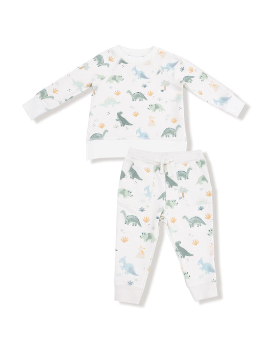 Soft Dinos French Terry Green Raglan Sweatshirt and Jogger Set
