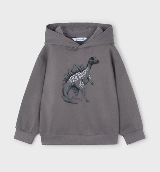 Boy Printed Sweatshirt