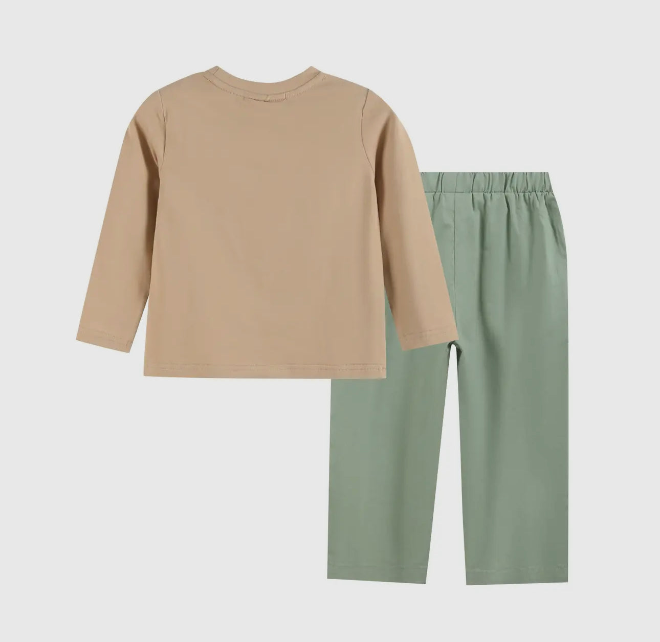 Light Brown Turkey Shirt and Sage Green Pants