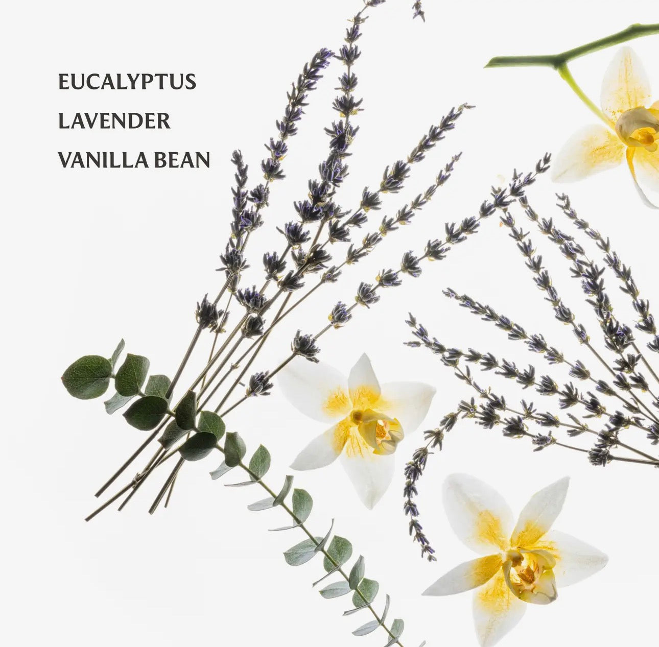 Pure Lavender Power Mist Hydrating Hand Sanitizer