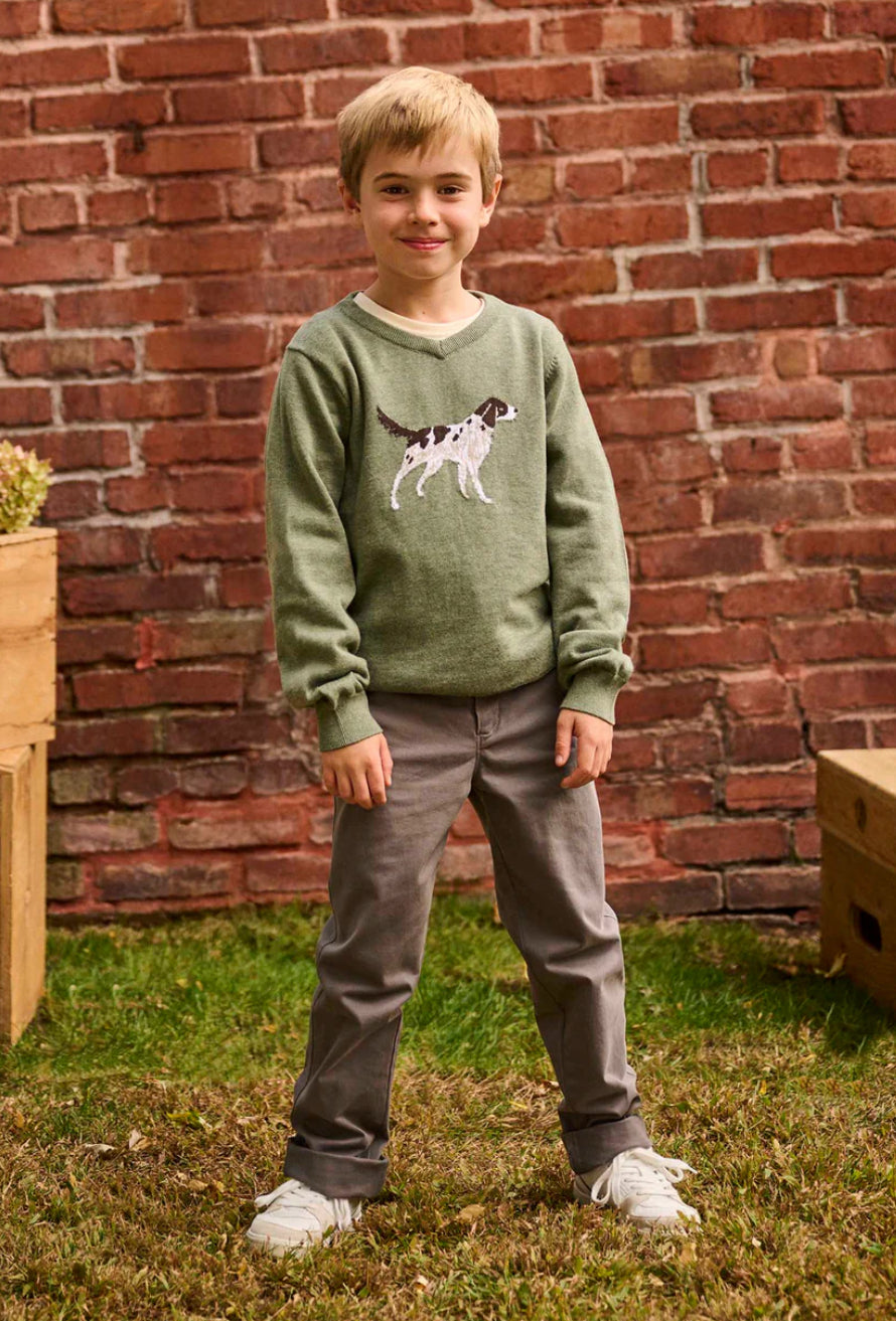 Boys Hunting Dogs V-Neck Sweater