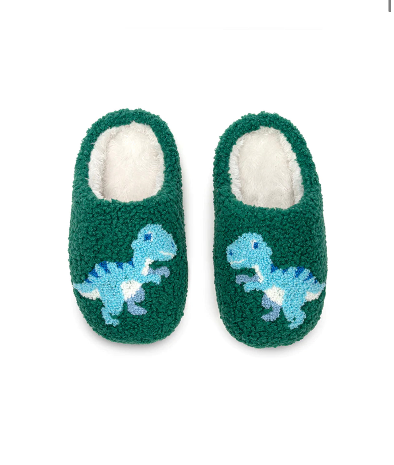 Kids Dino Slippers